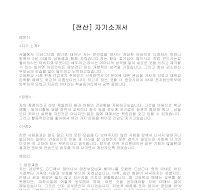 자기소개서(전산) 자기소개서(전산)